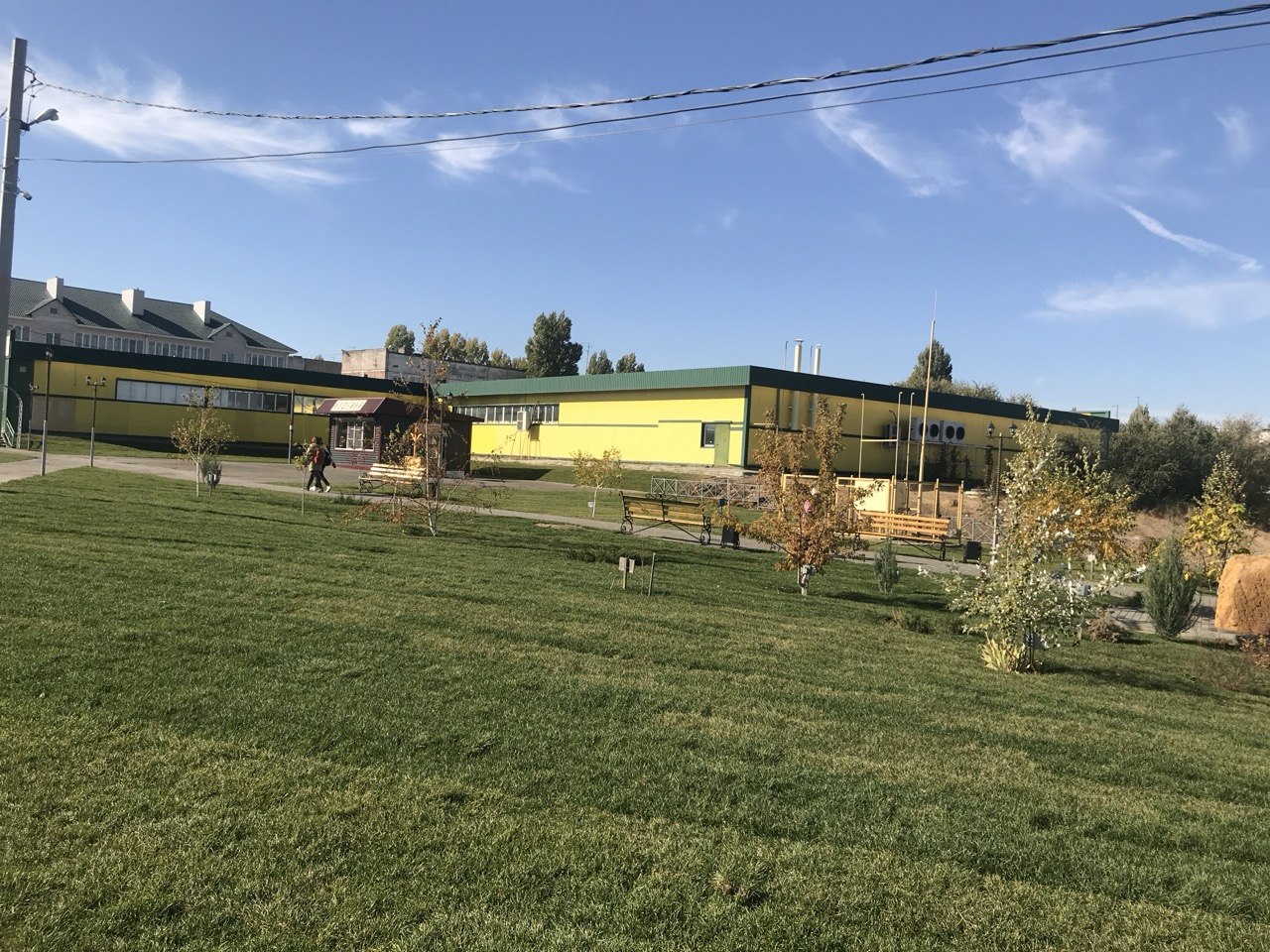 Плитка и газон в сквере