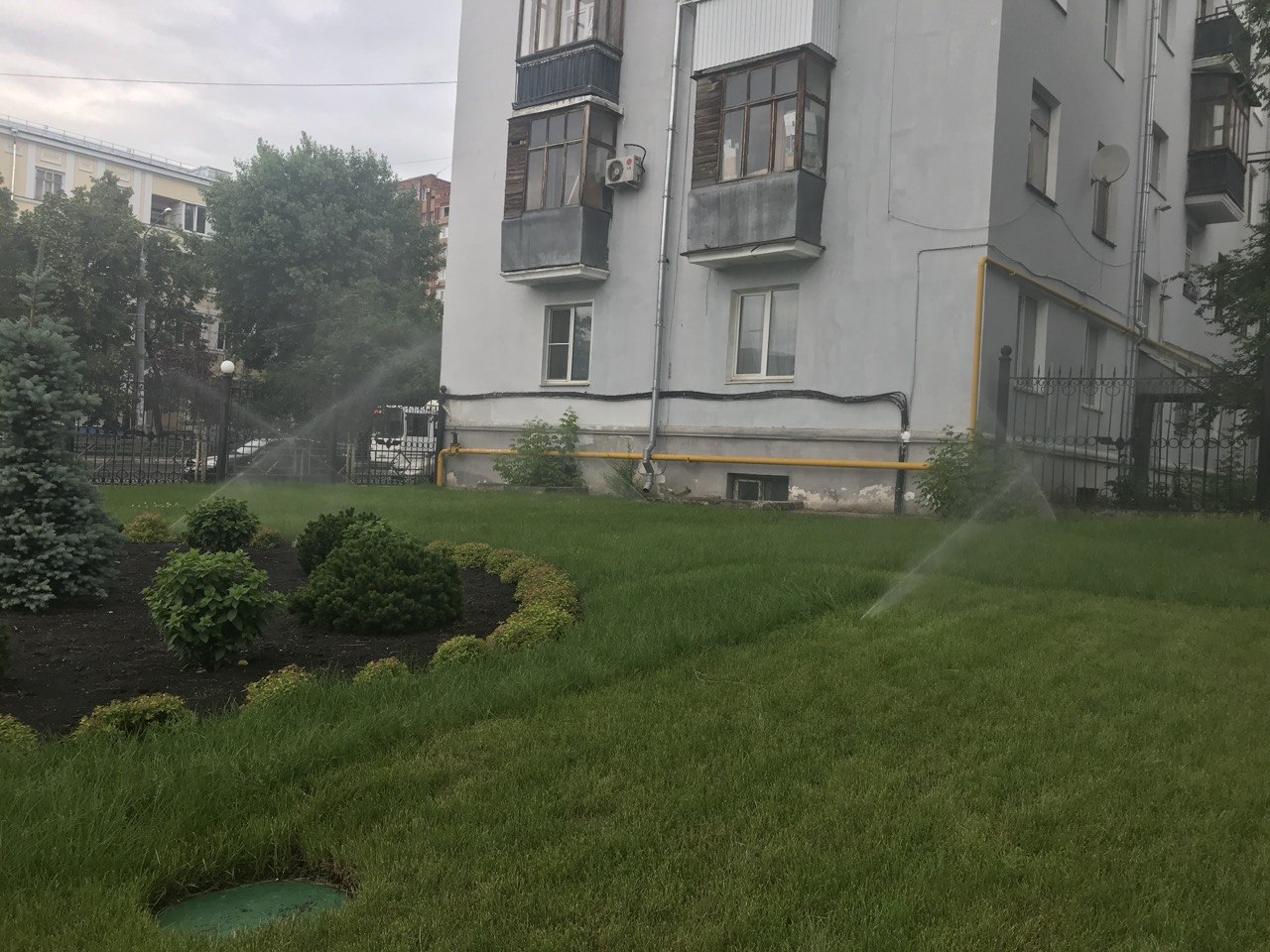 Газон у жилого дома