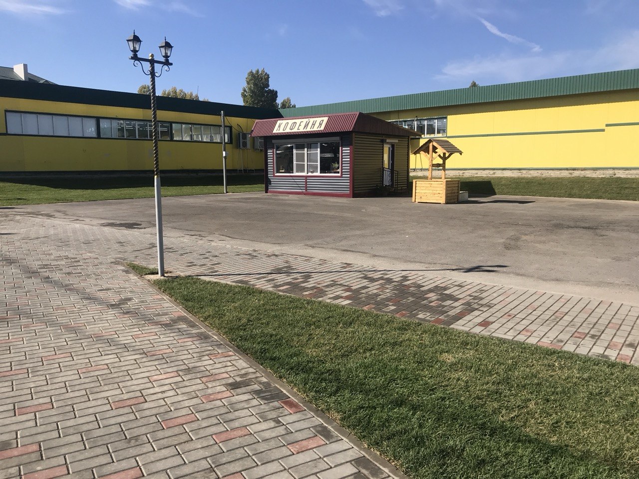 Газон у здания
